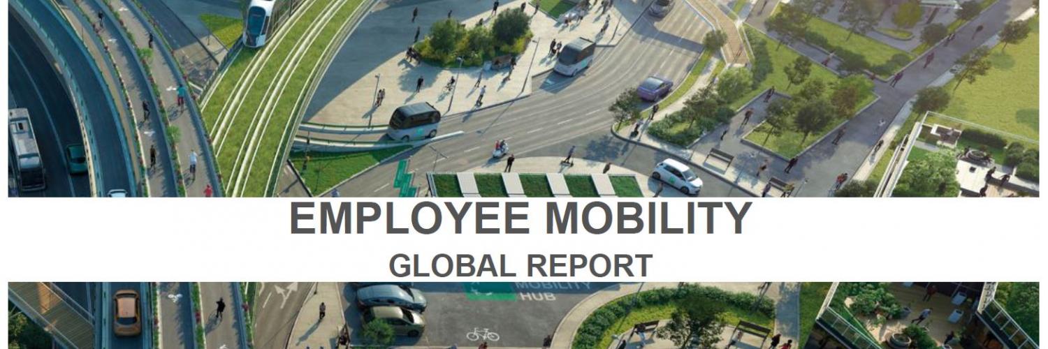 Employee mobility survey
